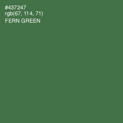 #437247 - Fern Green Color Image